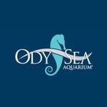 OdySea Aquarium