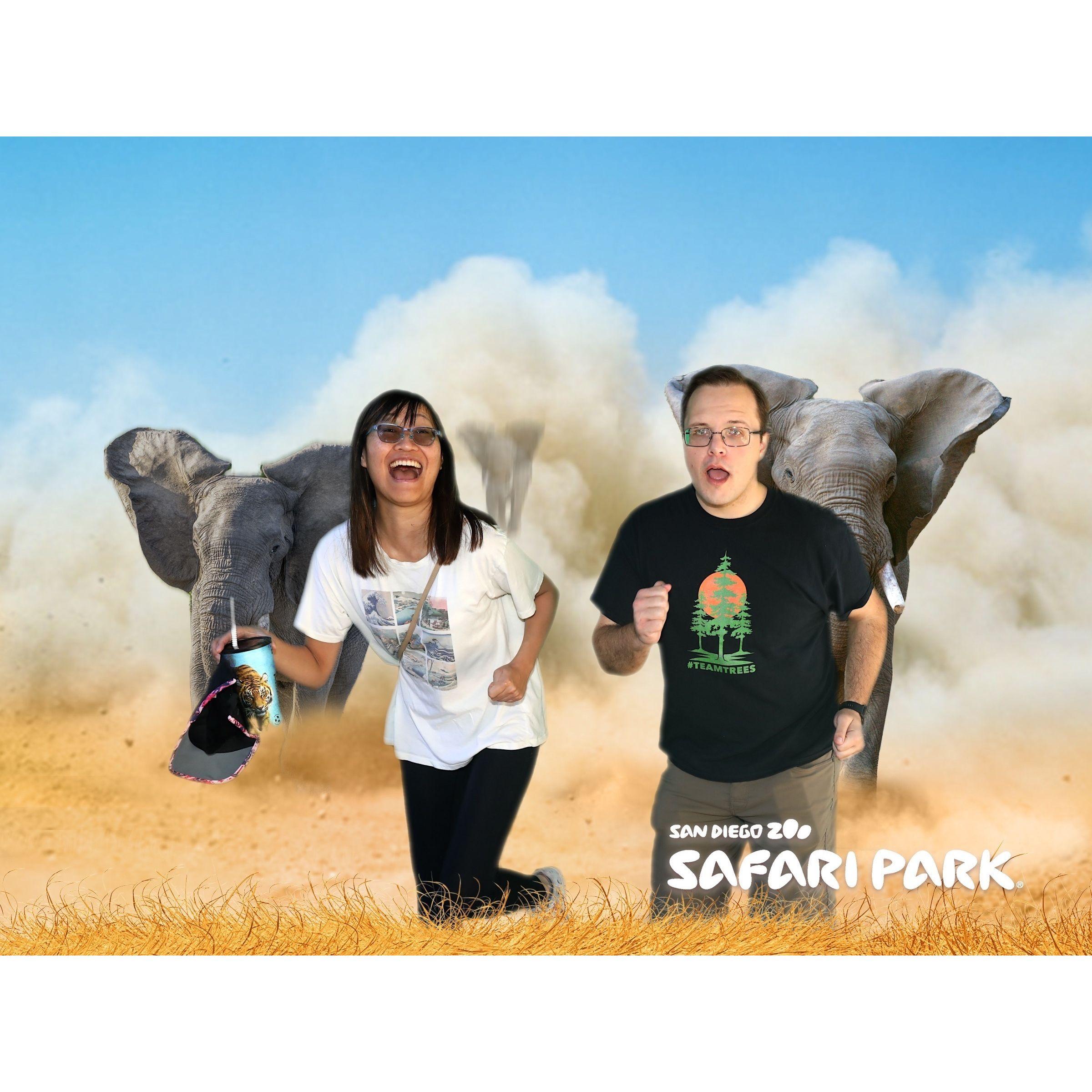 Our second date ever was to the Safari Park, where we took this photo.