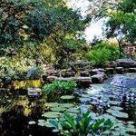 Zilker Botanical Garden