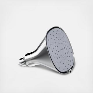 Filtered Showerhead