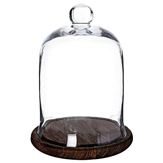MyGift Clear Glass Jar, Cloche Dome Display Centerpiece with Brown Wood Base