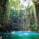 Explore a Cenote