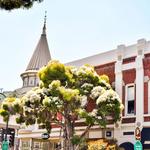 Visit Los Gatos
