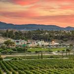 Temecula Wineries