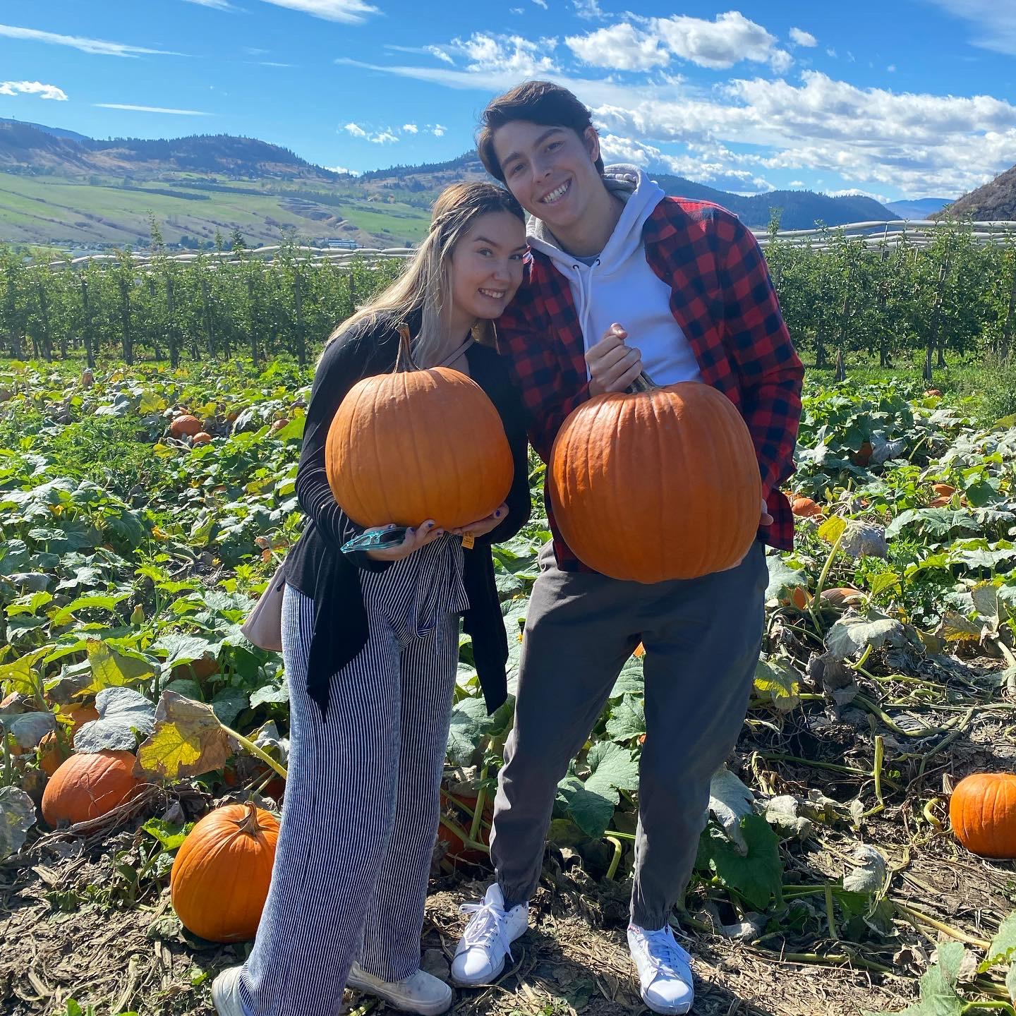 Pumpkin patch!