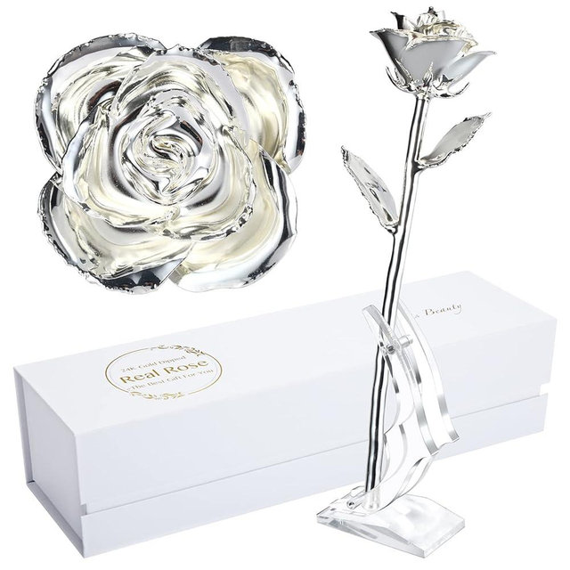 MAXSPT Silver Rose, Silver Dipped Rose Made from Real Rose Best Gifts for her and 25th for Wife, Silver with Stand