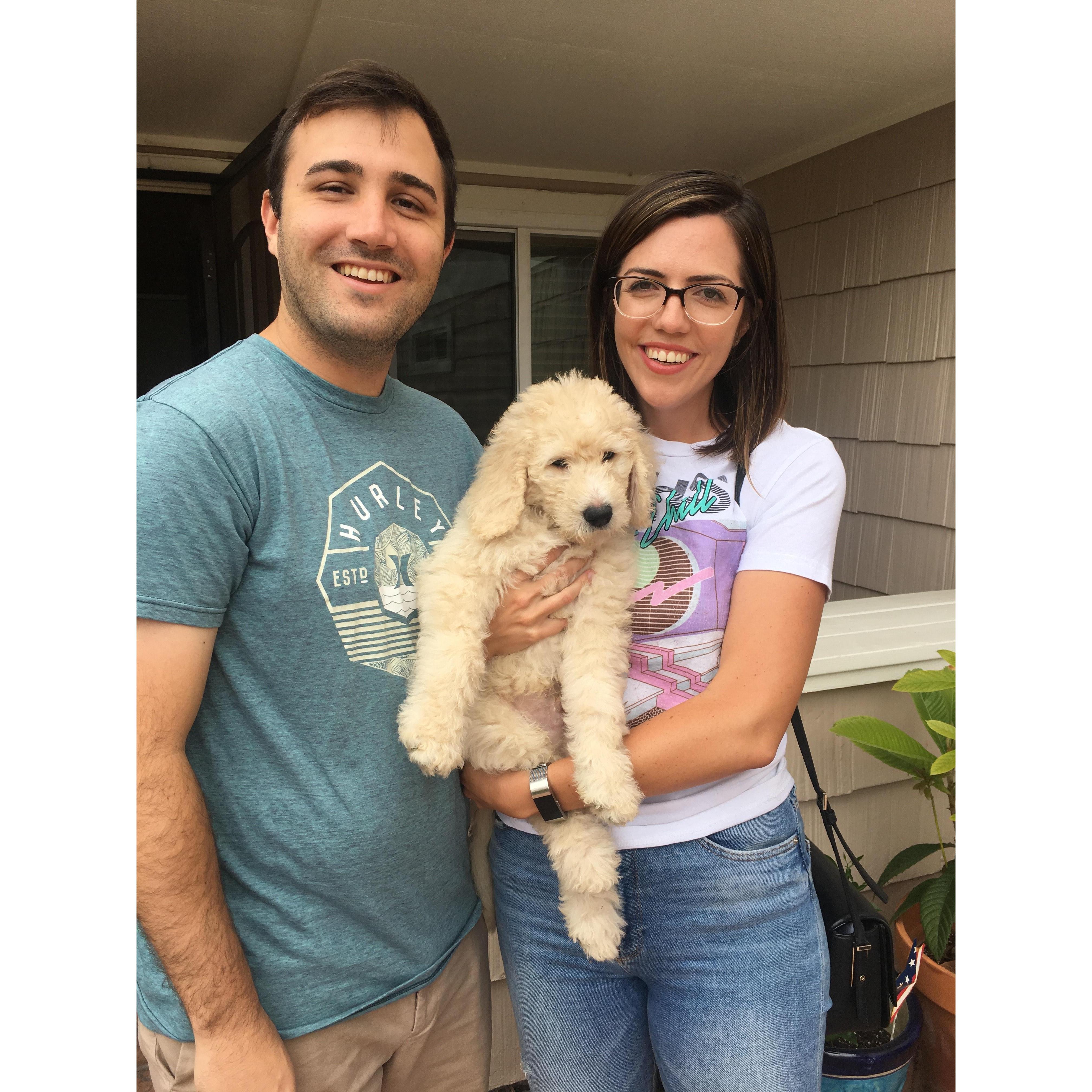 Meet Tito!