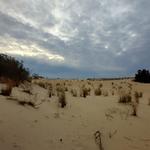 Jockey's Ridge State Park