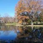 The Willows Park