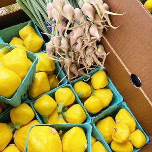Gift Card - Tilth Alliance Summer CSA/Farm Box