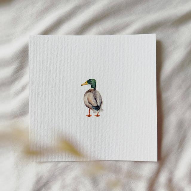 Drake - Miniature Art Print of Original Watercolor
