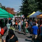 Dupont Farmers Market