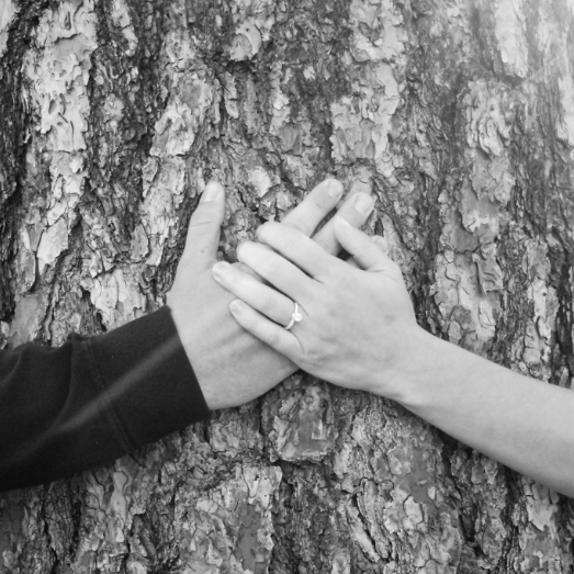 Engagement photos