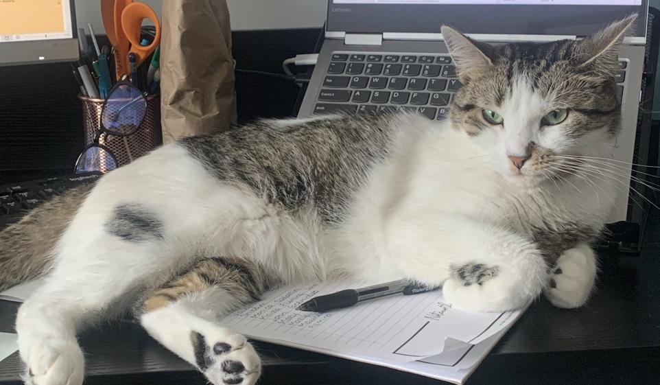 The Wedding Website of Alyssa Beachum and Rob Chessin