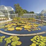 Botanical Garden