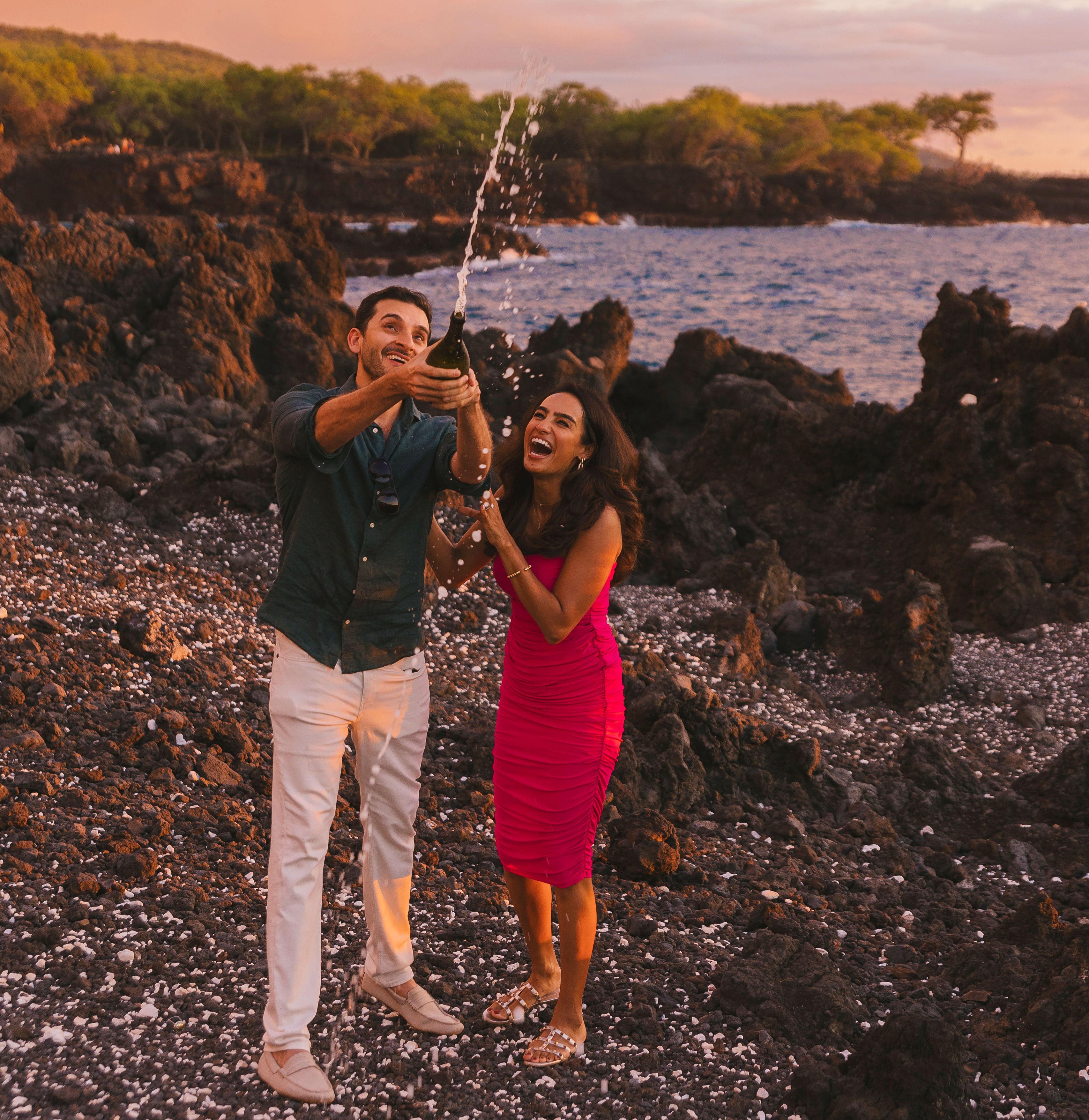 The Wedding Website of Ansha Goel and Amal Chaudhry