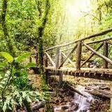 Parque Nacional La Tigra