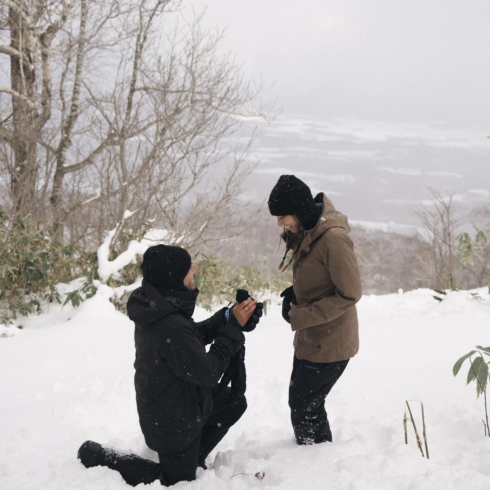 The proposal