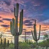 EXPLORE AZ