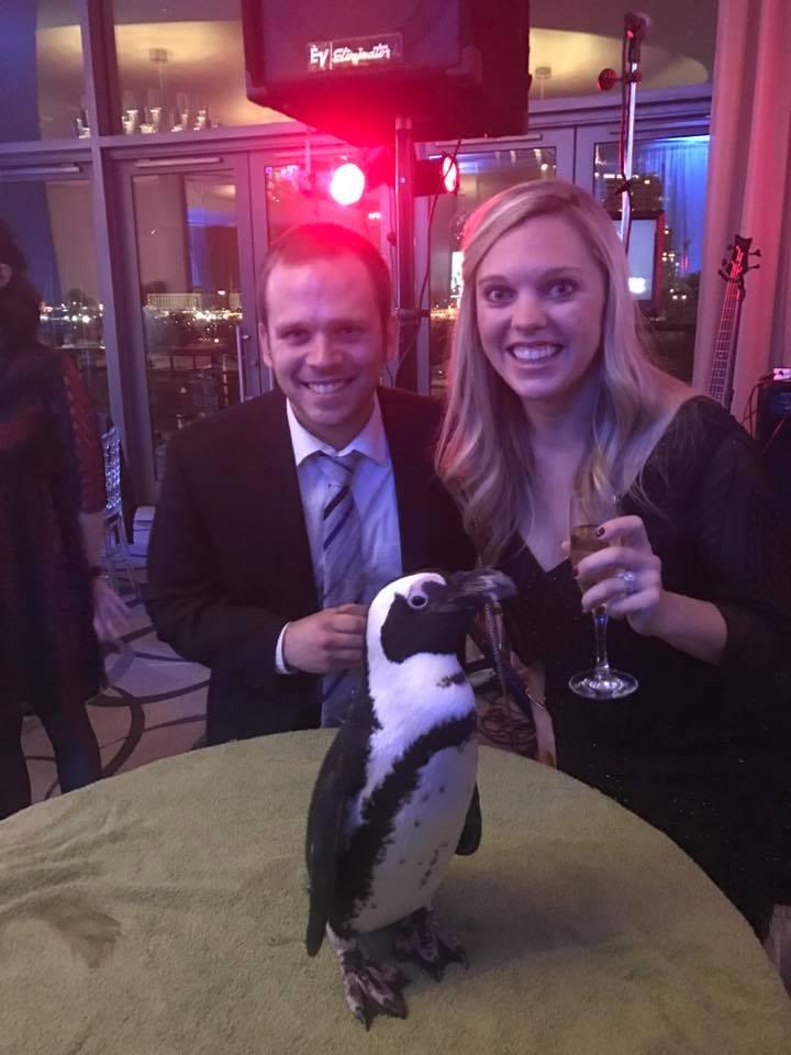 That time when Andrew's work party brought in a penguin