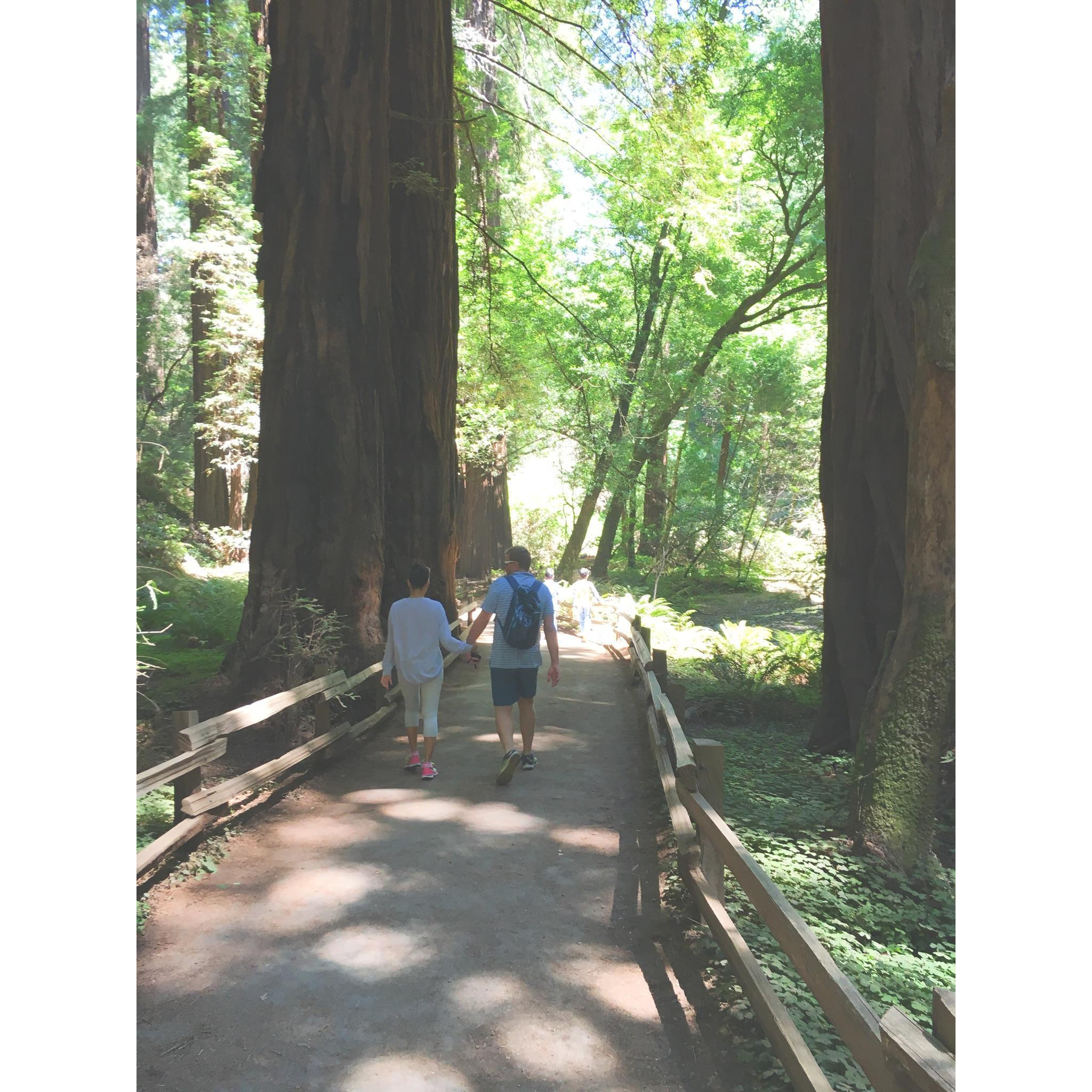 Muir Woods, California 2018
