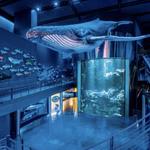 Wonders of Wildlife National museum and aquarium