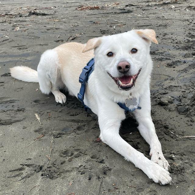 Kai's Vacation