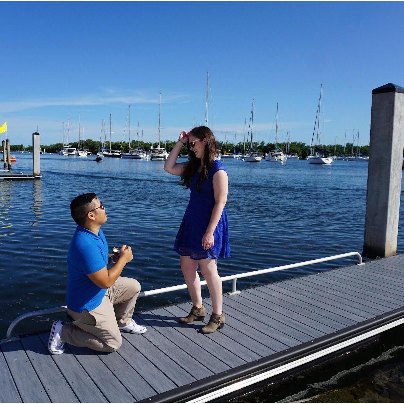 The proposal