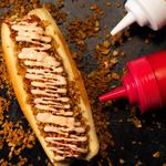 Yoyo’s Hotdog (Food Cart) & Oh My Gogi!