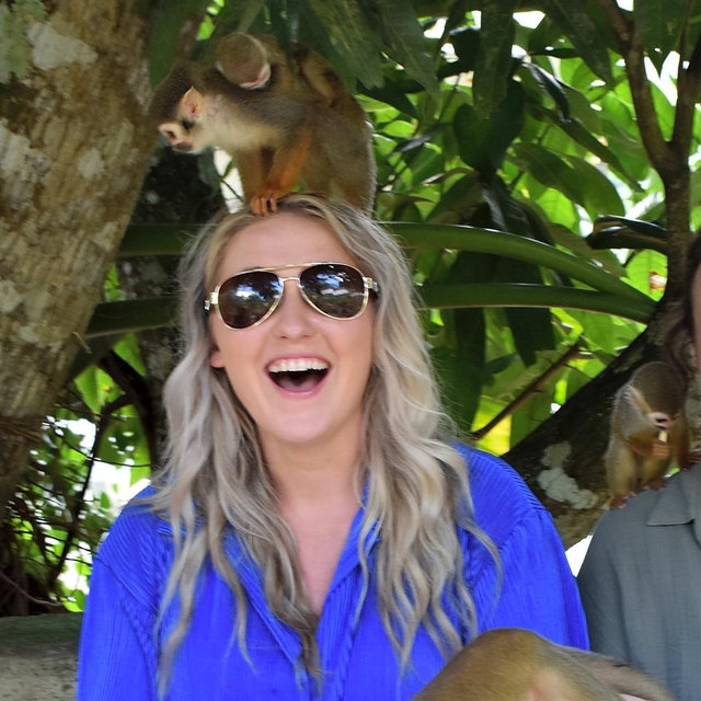 Monkey excursion