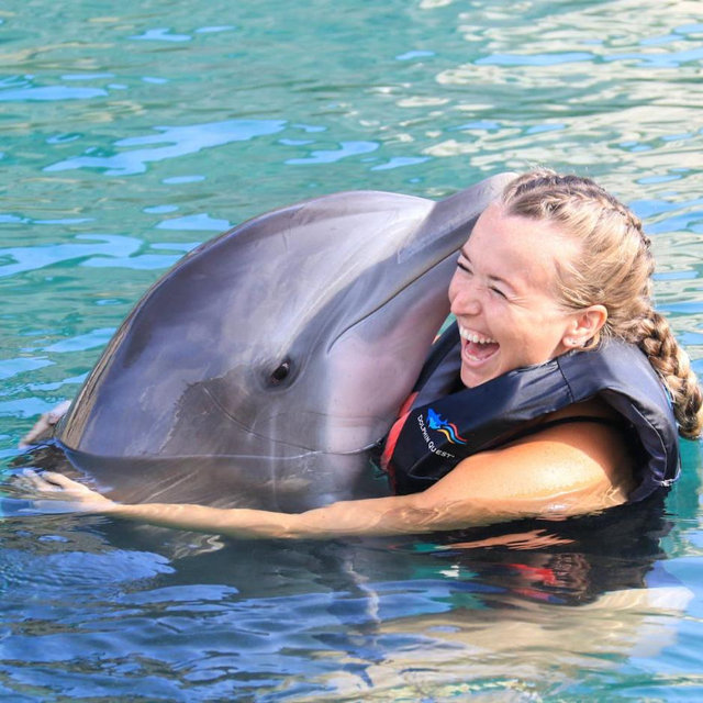 Honeymoon Dolphin Quest