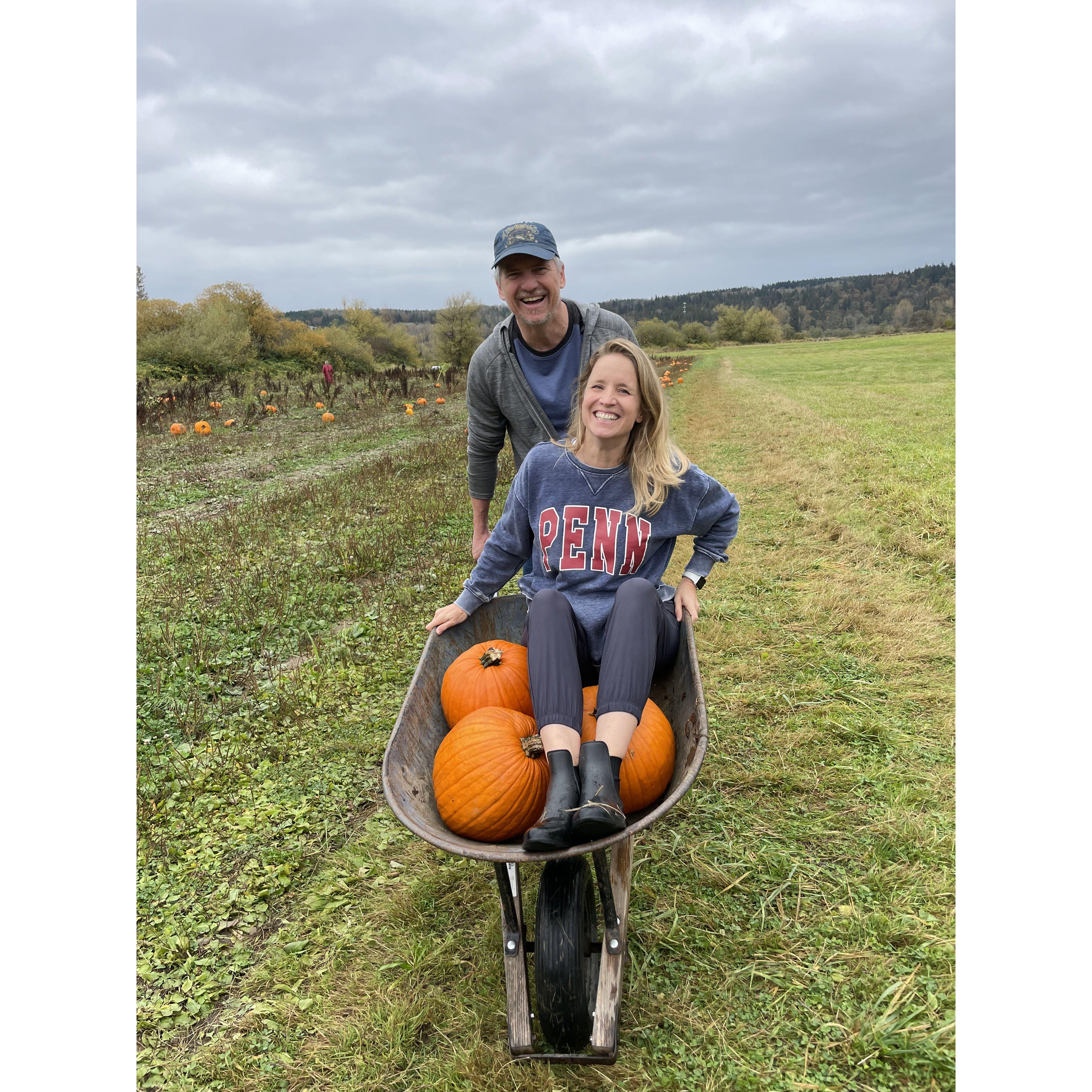 Pumpkin hunting