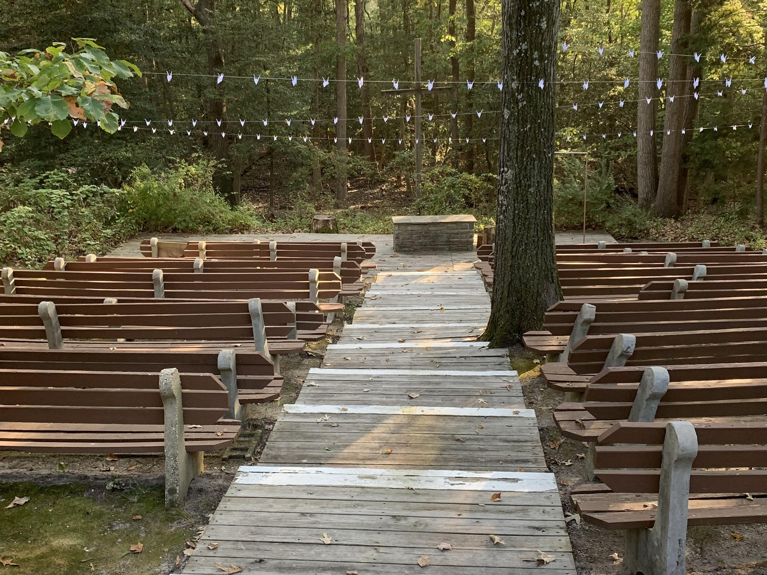 The Wedding Website of Lexi Seifert and Chris Blair
