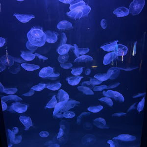 Kentucky Adventure: Louisville Zoo
