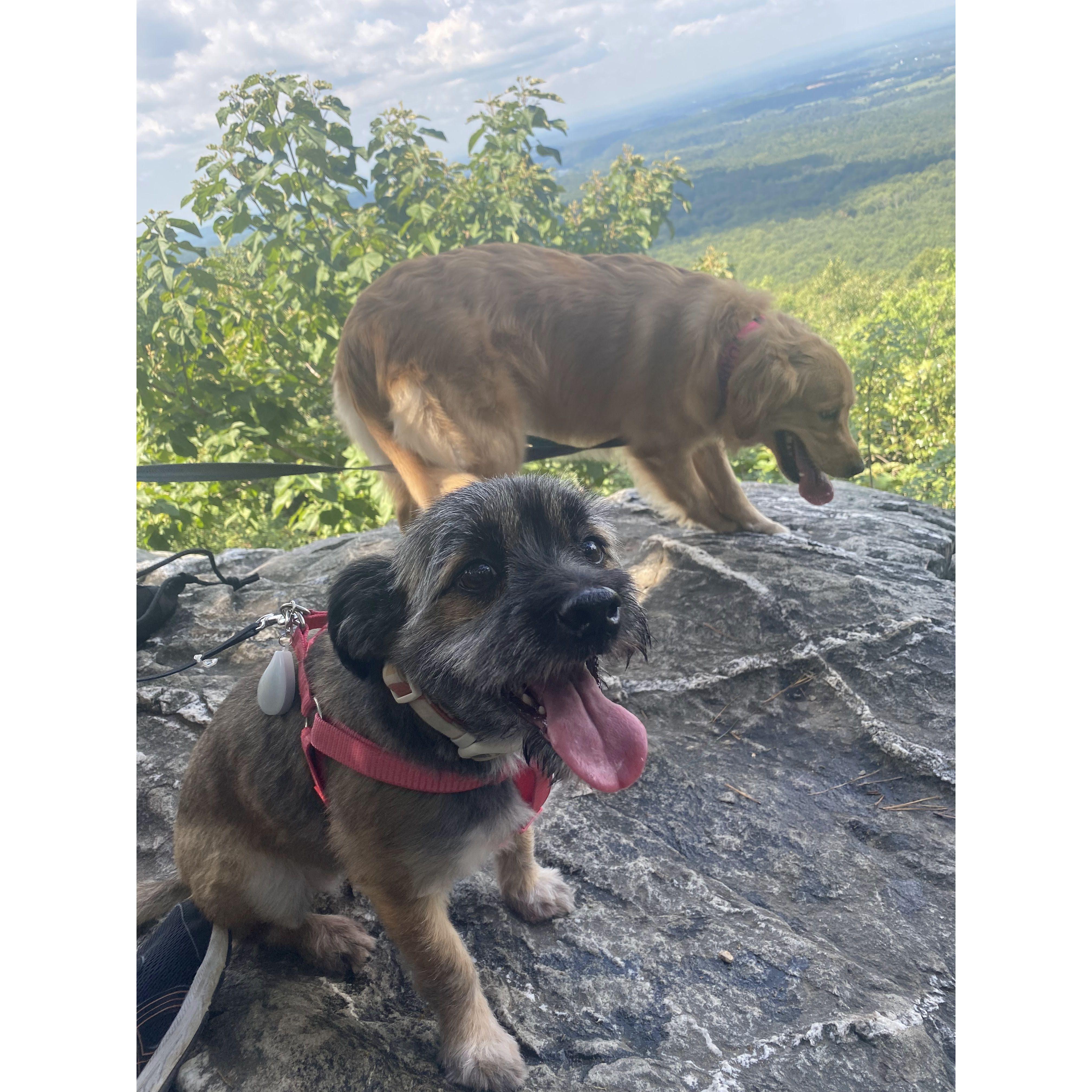Hiking at Bears Den August 2022