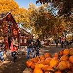 Vala's Pumpkin Patch & Apple Orchard