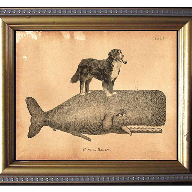 Bernese Mountain Dog Riding Whale Vintage Collage Print – Whimsical Animal Wall Art on Semi-Matte Photo Paper | Pet Lover Gift by TeaStainedMadness