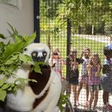 Duke Lemur Center