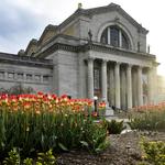 Art Museum