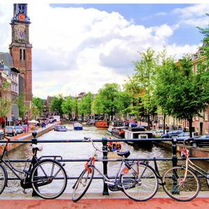 Cheese and Wine Tasting in Amsterdam