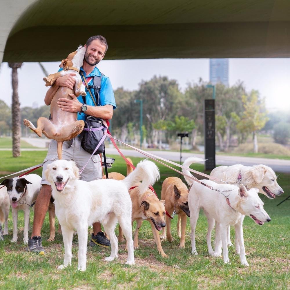 Tha Pack 🐕🐕🐕