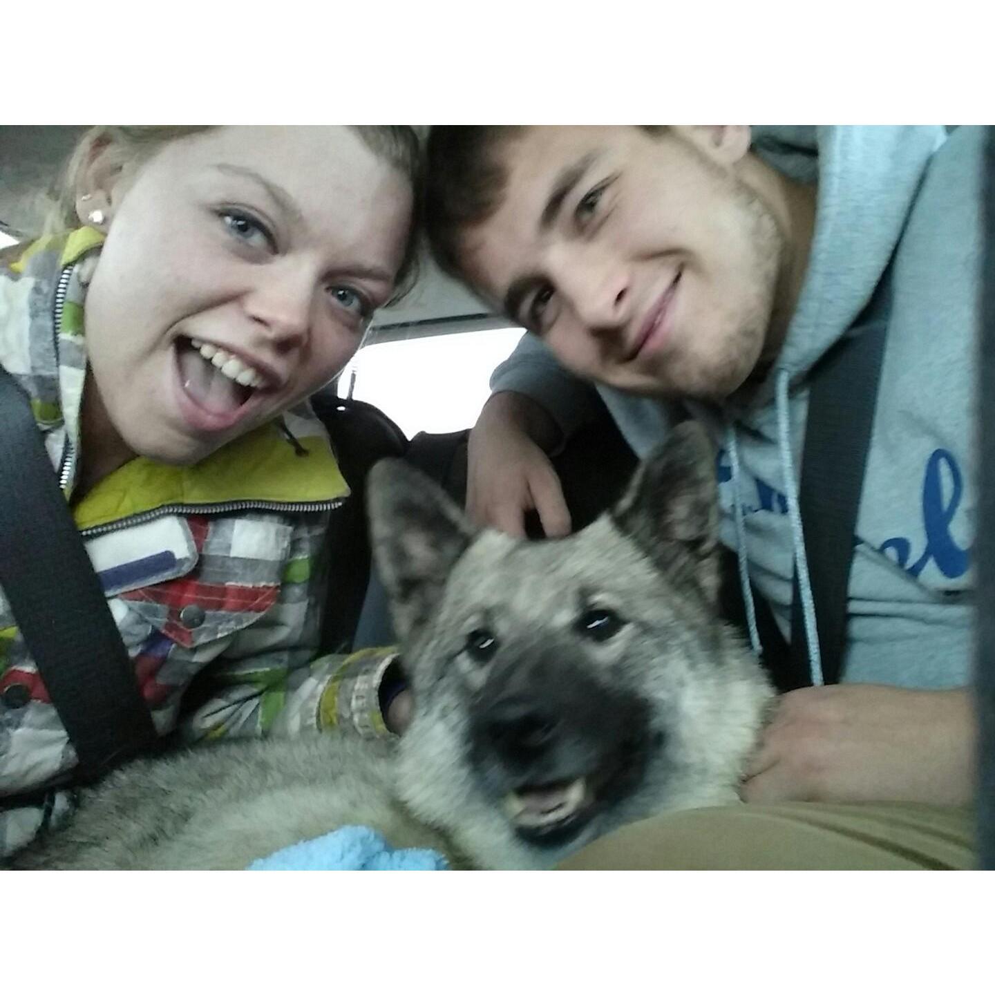 Taylor and Nathan adopting their first dog Sapheria. November 27, 2015