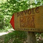 Dievole Natural Path