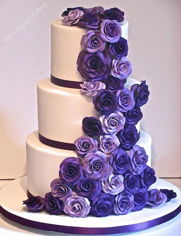 The Wedding Website of Ciara Creer and Teddy Garrison