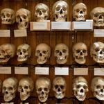 The Mütter Museum at The College of Physicians of Philadelphia