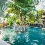 Biosphere Pool at Grand Cascades Lodge
