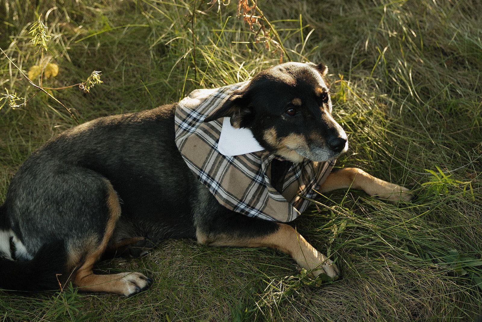 The Wedding Website of Naomi Long and Tyler Osen