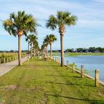 Pitt Street Bridge