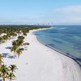 Relax at Crandon Park Beach