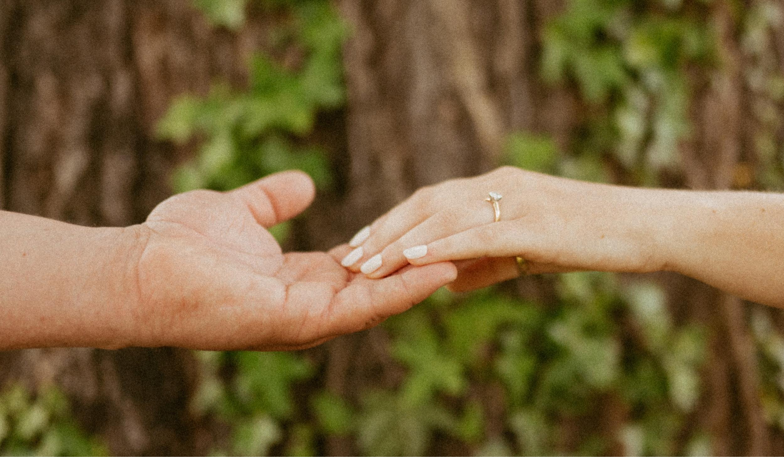 Footer image